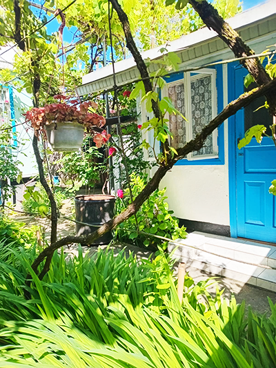 Снять комнату в Дагомысе